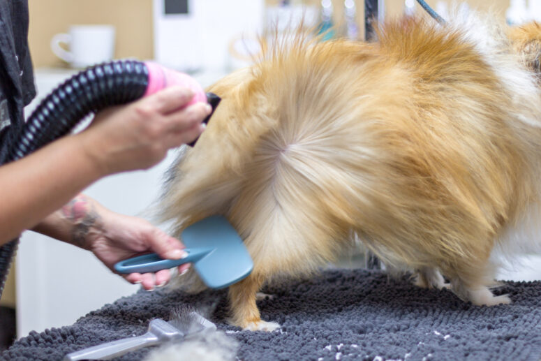 Blow Dry